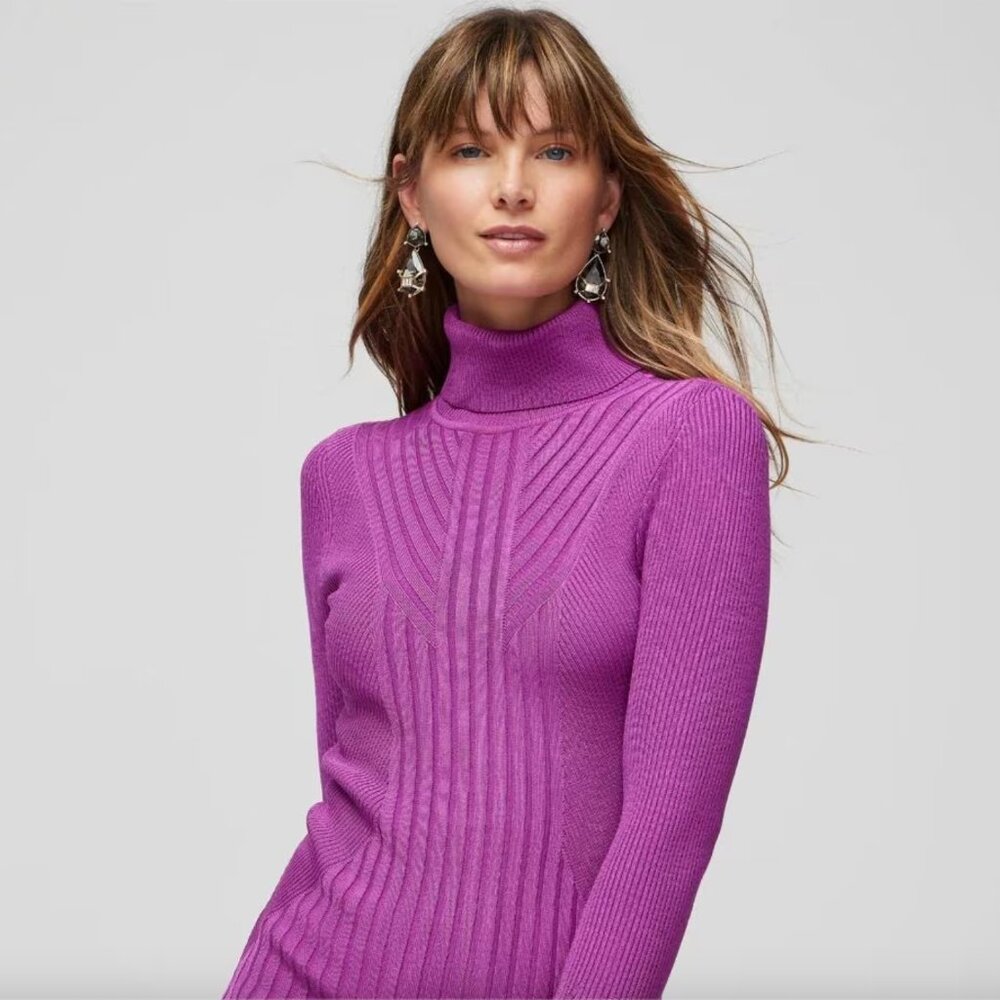 WHBM Long-Sleeve Ribbed Turtleneck